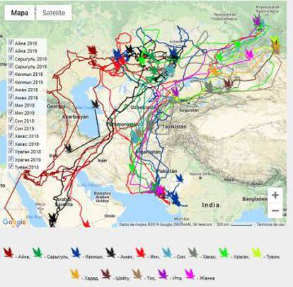 Mapa que localiza las rutas de las aves investigadas.