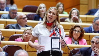 La senadora popular Ana María Beltrán interviene durante la sesión de control al Gobierno celebrada por el pleno del Senado este martes en Madrid.