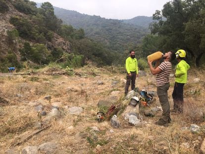 Vecinos y bomberos voluntarios de Benabarrá (Málaga) trabajan en un cortafuegos para evitar que llegue el incendio de Sierra Bermeja. / L.J.V.