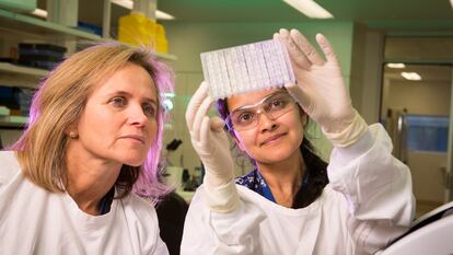 A la izquierda, Sharon Lewin, directora del Instituto Doherty para la Infección y la Inmunidad de Melbourne.