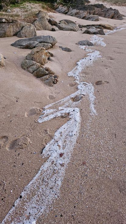 'Pellets' dispersos a lo largo de la playa de Balieiros (Ribeira) el pasado 13 de diciembre.