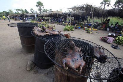 Carne seca de animales silvestres en la carretera de Yamoussoukro. La carne de antílopes, ardillas, puerco espines, murciélagos o monos forma parte del menú habitual de los habitantes del África occidental y central. Los expertos en Ébola sospechan que este puede ser el origen del contagio del virus.