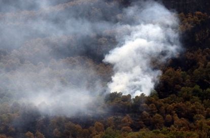 Vista del incendio forestal que sigue activo en Los Guájares.
