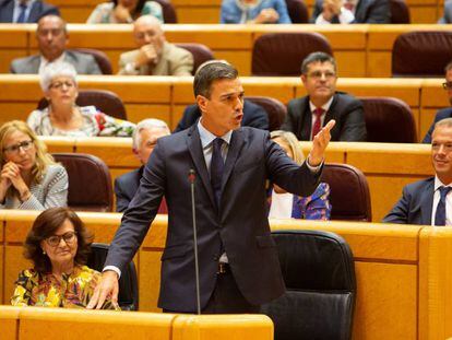 Pedro Sánchez en la sessió de control al Govern espanyol al Senat.
