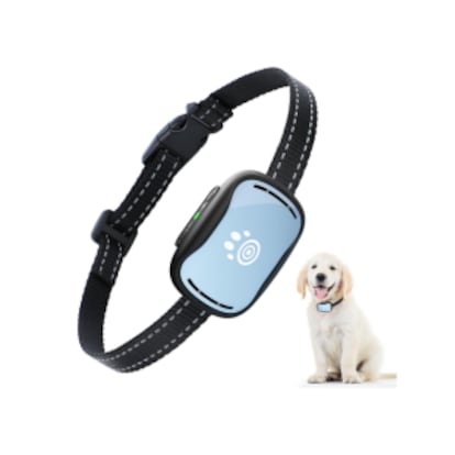 collar perros