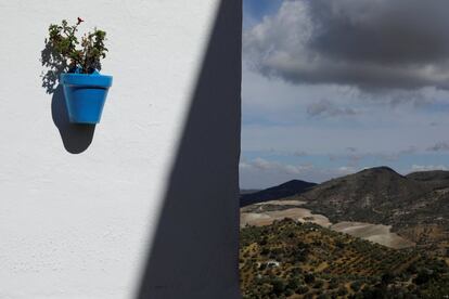 Los vecinos siguen blanqueando sus hogares, normalmente una vez al año, antes de las fiestas patronales, cuando en las calles venden "capanclá", versión gaditana de "cal para encalar". Una maceta en una pared recibe rayos de sol, en Olvera.