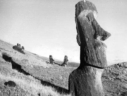 Moáis en el este de la Isla de Pascua.