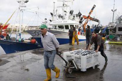 Descarga de pescado de un barco pesquero en el puerto de Ondarroa (Bizkaia).