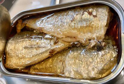 SARDINAS DE PACO LAFUENTE / CAPEL