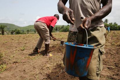 Campesinos de Gnoungouya Village, en Guinea.