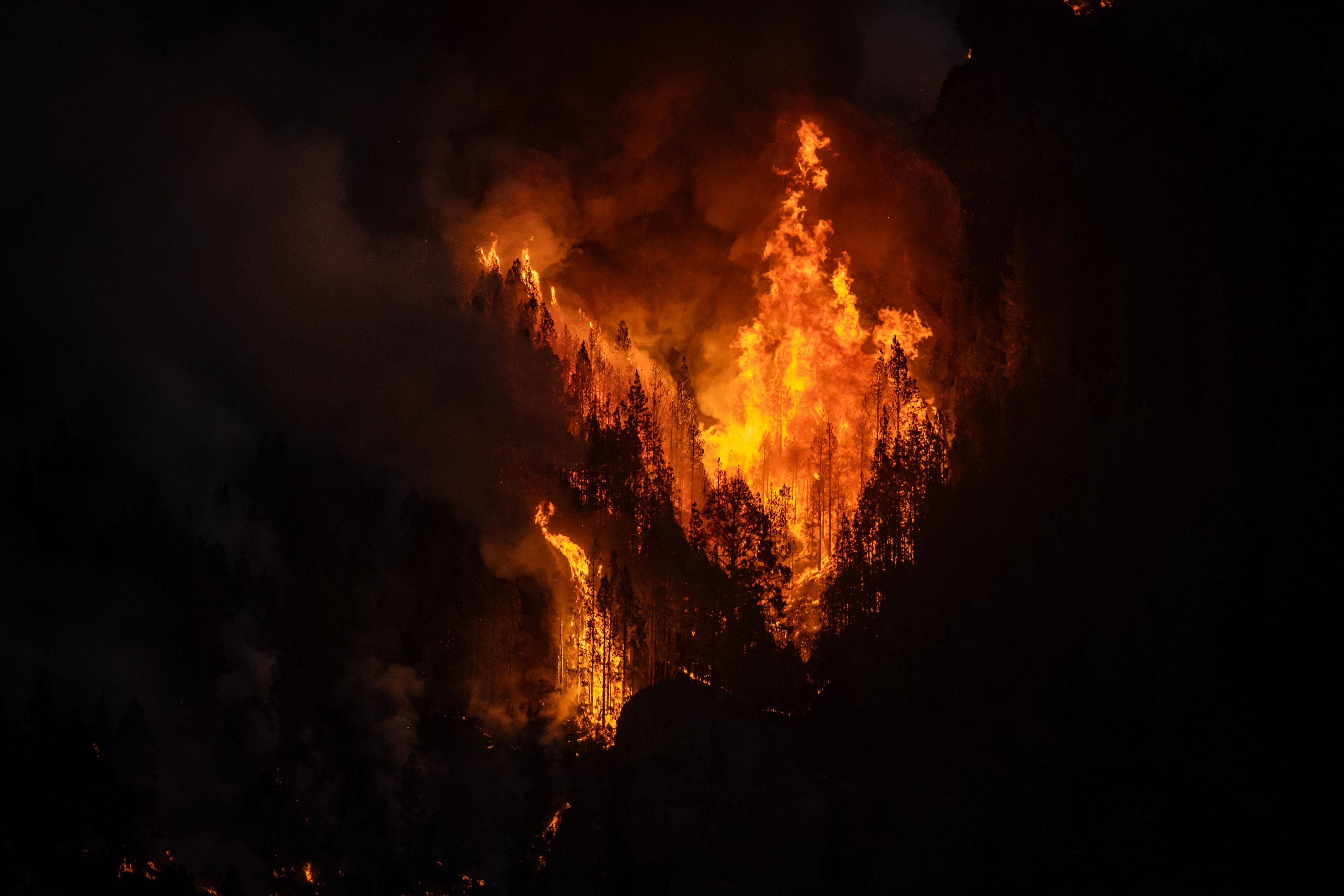 Vista de las llamas en las proximidades de Aguamansa, el jueves.