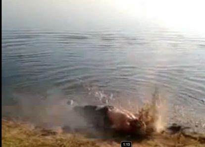 Captura del vídeo que muestra una ejecución sumaria de un teniente coronel sirio detenido por las milicias rebeldes.