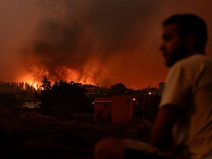 Incendio en La Orotava en Tenerife, Islas Canarias, en agosto de 2023.