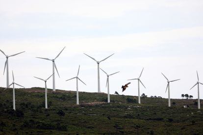 Molinos de viento en el parque eólico de Pradell de la Teixeta (Tarragona), el 1 de septiembre.