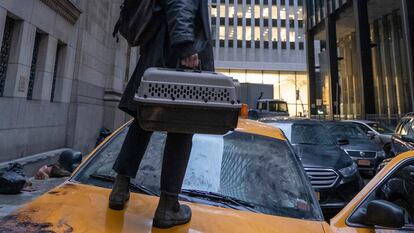 Y: The Last Man -- "The Day Before” -- Season  1, Episode 1 (Airs September 13) -- Pictured: Ben Schnetzer as Yorick Brown. CR: Rafy Winterfeld/FX