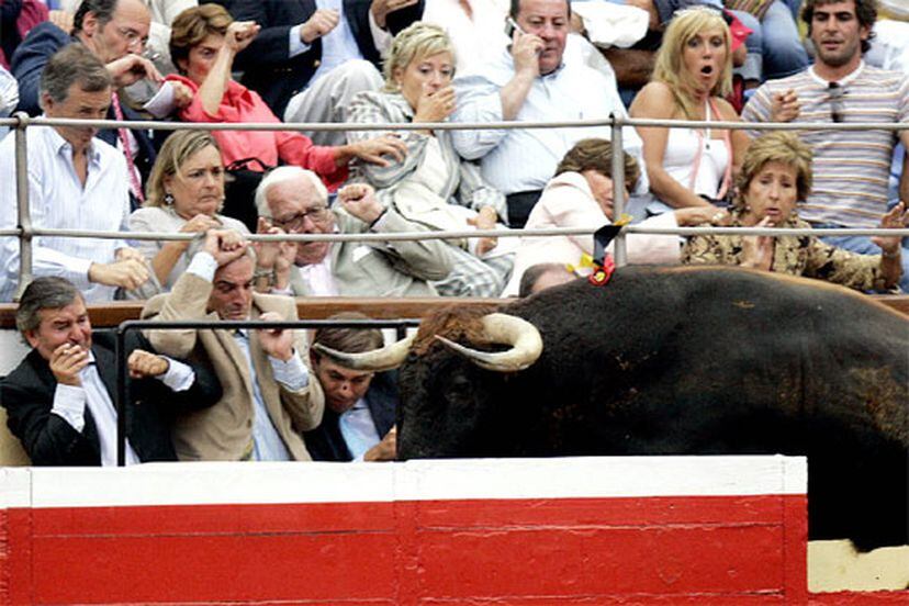 Un toro salta al callejón en la plaza de toros de Bilbao Revista de