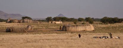 Pastores de la tribu Turkana con sus cabras en el desierto / Kennedy Saitoti Omufwoko