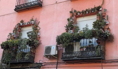 Two balconies full of cacti in Santa Isabel street (Madrid).