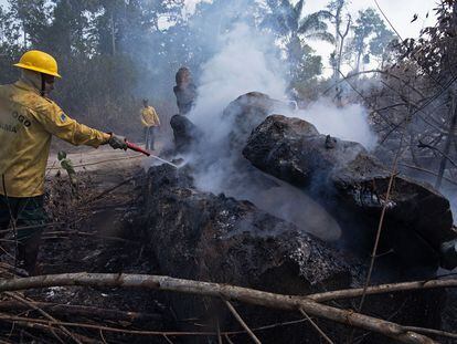 El pasado 15 de agosto, un trabajador apaga un fuego en la reserva del Amazonas, al sur de Novo Progresso, en el estado de Para, en Brasil.
