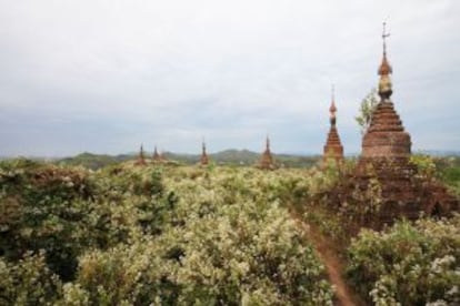 Templos entre naturaleza agrestre en el yacimiento arquelógico de Mrauk U, en Myanmar.