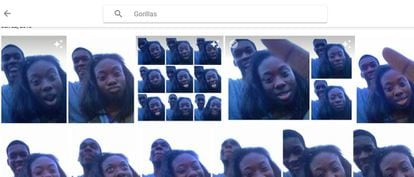 Resultados de Google Photos a la b&uacute;squeda &quot;gorilas&quot; del usuario que lo denunci&oacute;.