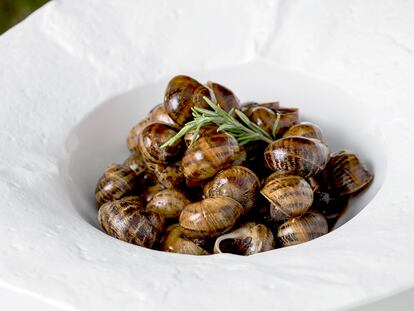 Un plato de caracoles a la antigua de Casa Pedro, en Zaragoza.