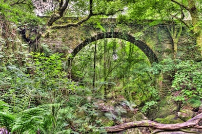 Los 500 habitantes de Fragas do Eume (en la foto), una de las manchas de bosque atlántico de ribera mejor conservadas de Europa, tocan a 18 hectáreas por cabeza, lo que da idea de lo poco que este parque natural de la provincia gallega de A Coruña, que sigue el curso del río Eume, está tocado por la mano del hombre. Una vegetación tupida, a la que la luz del sol cuesta atravesar, tejida con ramas de robles, castaños, chopos, fresnos, alisos, líquenes, frutales silvestres y más de 20 especies de helechos. Tiene forma de triángulo y vértices, a modo de fronteras, en As Pontes, Pontedeume y Monfero. En lo más espeso de la fraga se alza el monasterio de Caaveiro, del año 934. <a href="https://www.turismo.gal/que-visitar/espazos-naturais/parques-naturais/fragas-do-eume?langId=es_ES" rel="nofollow" target="_blank">turismo.gal</a>