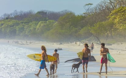 Surfistas en la playa de Santa Teresa, en Costa Rica.