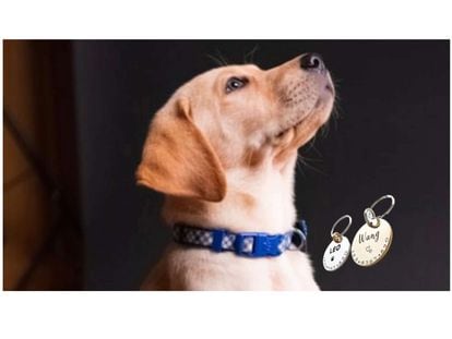 Personalizables y en varios tamaños, las placas para perros favoritas de Amazon