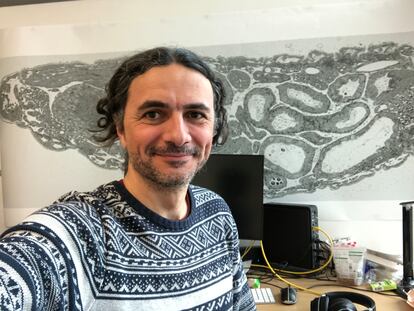 El biólogo español Albert Cardona, en su despacho del Laboratorio de Biología Molecular de Cambridge.