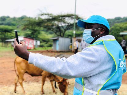 El director general de Telkom Kenia, Mugo Kibati, utiliza su teléfono móvil para probar el internet de la tecnología Loon a través de una videollamada.