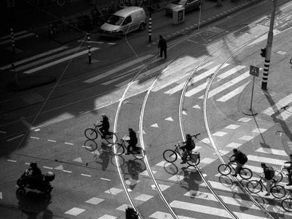 Un grupo de ciclistas circula por una calle de &Aacute;msterdam.