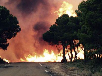 Las llamas consumen arbolado y monte bajo en el municipio aragon&eacute;s de Luna. 