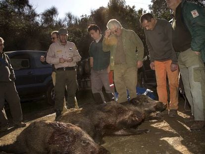 Un grupo de cazadores despu&eacute;s de una batida en Collserola