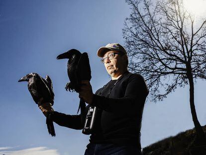 El ornitólogo José Luis Copete sostiene un cuervo en cada mano.