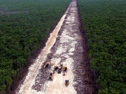 Vista aérea de la deforestación a la altura de Playa del Carmen para la construcción del tramo 5 del Tren Maya, el 26 de abril.