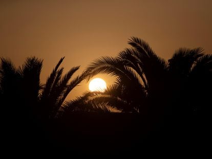 Atardecer en la frontera entre las provincias de Zaragoza y Navarra, el pasado 13 de junio.