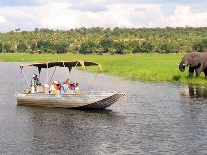 Botes de safari observan elefantes a lo largo del río Chobe cerca de la frontera norte de Botswana