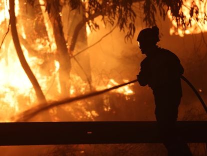 Un bombero forestal lucha contra el fuego en la localidad de Caldas de Reis, en Pontevedra, este viernes.