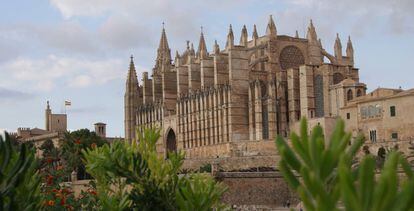 Una imatge de la catedral de Mallorca.