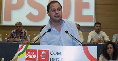 El secretario de Organizaci&oacute;n del PSOE,C&eacute;sar Luena.