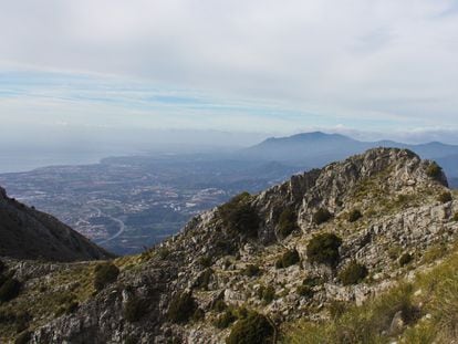 El tramo final del ascenso al pico de la Concha, junto a Marbella.