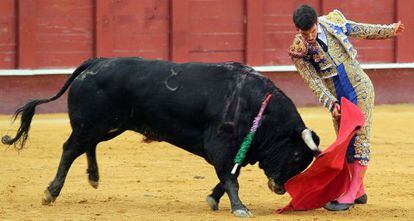 Tomás Campos, con la muleta ante su primer novillo de la tarde.