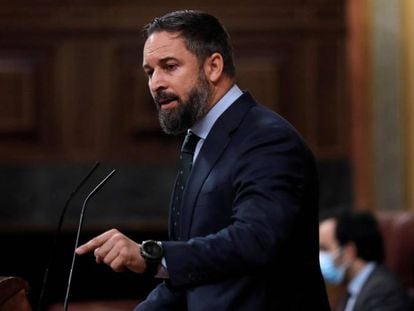 El líder de Vox, Santiago Abascal, durante su intervención en el pleno del Congreso de este miércoles.