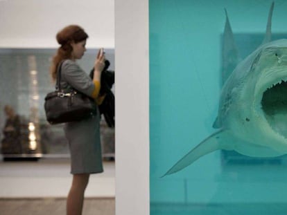 Una mujer observa la obra del artista brit&aacute;nico titulada &#039;La imposibilidad f&iacute;sica de la muerte en la mente de un ser vivo&#039; (1991), durante la inauguraci&oacute;n de la exposici&oacute;n en la Tate Modern (Londres).