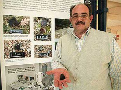 Javier García Guinea muestra un meteorito en el Museo Nacional de Ciencias Naturales.