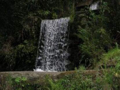 La minihidráulica aprovecha el cauce de los ríos y los saltos de agua para producir electricidad.