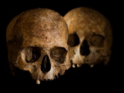 Cráneos de una mujer (en primer plano) y un hombre del Neolítico Medio hallados en la Cueva de la Dehesilla (Cádiz). En la parte superior derecha del primero se observa la marca de la trepanación.