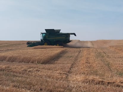 Harvesting cereals in a field in the province of Córdoba.
