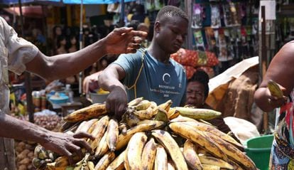 Un niño togolés lleva un cargamento de plátanos en el mercado de Mont Bouet, en Libreville, el 25 de junio de 2018.